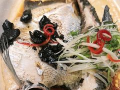 -陶缘一号·四季缘·老字号顺德菜·户外婚礼家宴(西滘店)