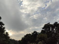 -梧桐山风景名胜区