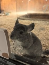 -酷嗒动物文化乐园(cutezoo西溪乐天城店)