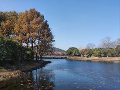 -长广溪湿地公园
