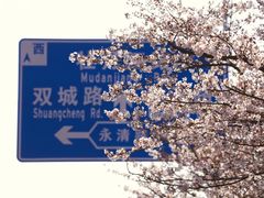 -永乐路-路侧停车场