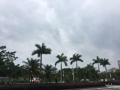 -黄金海岸环岛路