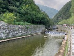-牛背梁国家森林公园
