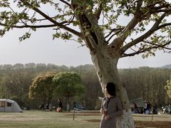 -钟山体育运动公园