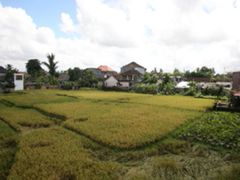 -Pundi Pundi Restaurant