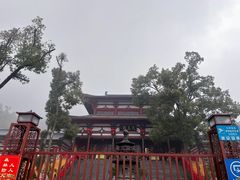 -潜山国家森林公园