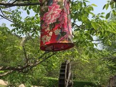 -云峰山自然风景区