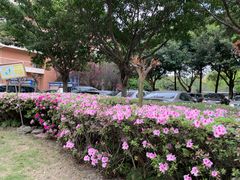 -四川大学(望江校区)