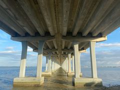 -宝安西湾红树林湿地公园