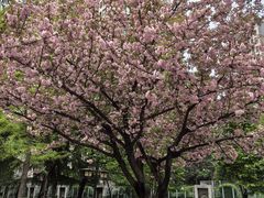 -木塔寺遗址生态公园