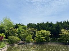 -嘉定紫藤园