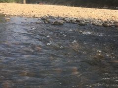 -九曲溪竹筏码头