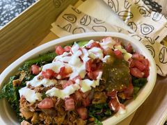 -油梨树AVOCADO TREE(顺义新国展店)