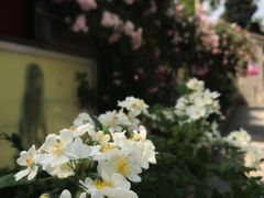-北京石刻艺术博物馆(五塔寺)