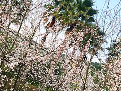 -宁波九龙湖开元度假村