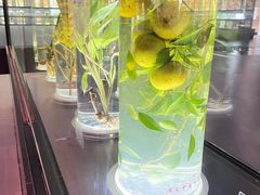 -广东中医药博物馆