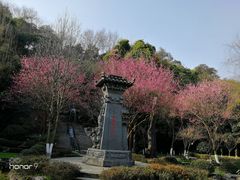 -重庆园博园