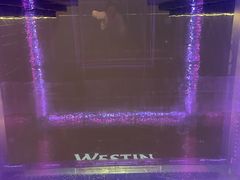 -重庆解放碑威斯汀酒店
