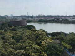 -松山湖凯悦酒店·Café自助餐厅·周末火舞秀表演