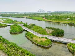 -春花秋色城市公园