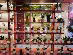 -二酉书店TOYOU BOOKS