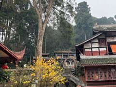 -都江堰普照寺