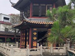 -碧江金楼