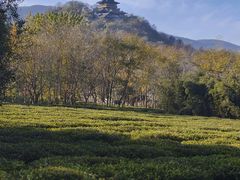 -雅达·阳羡溪山小镇中心