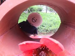 -顺峰山公园