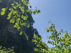 -西安祥峪森林公园