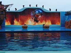 -海合安青岛极地海洋公园