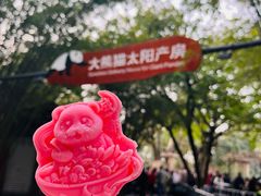 -成都大熊猫繁育研究基地