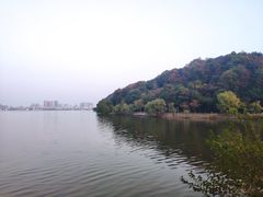 -团城山公园