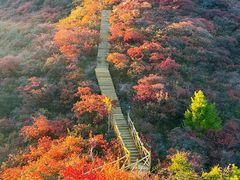 -水峪民俗村