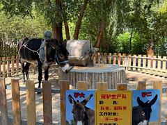 -水上乐园·欢乐世界