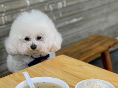 -温记府廟豆汤饭·始于1955年(海椒店)