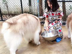 -TrueLove @ Neverland (Husky Cafe)