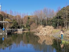 -上海吴淞炮台湾国家湿地公园