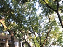 -中央戏剧学院(东城校区)
