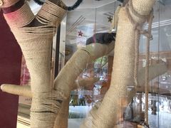 -袖虎·猫馆(体育西路店)