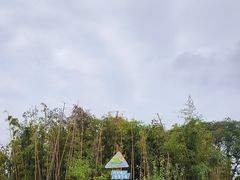 -九龙湖公园