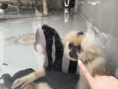 -太原动物园