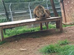 -昆明动物园