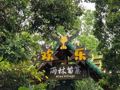 -海南槟榔谷黎苗文化旅游区