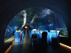 -海棠湾洲际-涛·海底餐厅·美人鱼·自助餐·海底隧道