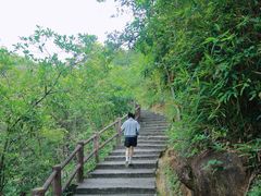 -广州白江湖森林公园