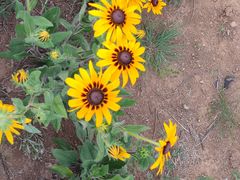 -敕勒川草原文化旅游区