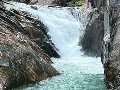 -广州白江湖森林公园