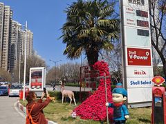 -延长壳牌加油站(长安南路电视塔站)