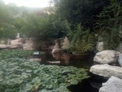 -原山国家森林公园